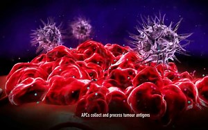 【肿瘤】看看如何激活T细胞杀灭癌细胞【大通盛道乐喷网字幕】