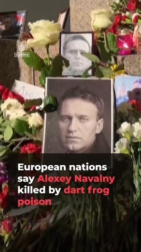 Al Jazeera English | Five European countries say lab tests conclude that Russian opposition leader Alexey Navalny was killed in 2024 by a rare dart frog toxin... | Instagram