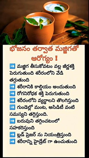 Drink Buttermilk Every Morning for Amazing Health Benefits | Majjiga Benefits for Digestion, Heart