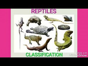 CLASS REPTILIA : EASIEST WAY TO LEARN THE CLASSIFICATION AND CHARACTERS