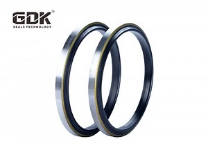 [Hot Item] GDK Seal- Dkbi / Dkb/Dsi Type Hydraulic Cylinder Dust Seals Wiper Seals (Reciprocating)