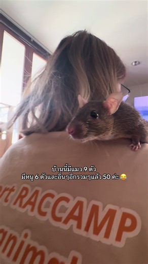 พี่ๆกดเข้ามาดูโปรไฟล์ก่อนแซวหนูค่ะ แม่หนูช่วยสัตว์ทุกชนิด 😅