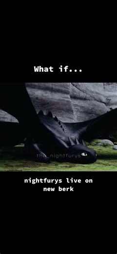 What If Night Furies Lived on New Berk?
