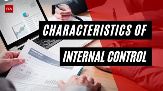 Building Robust Organizations: The Role of Effective Internal Controls | Financial Crime Academy