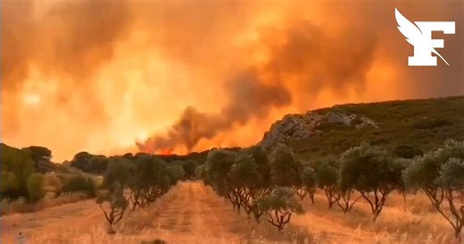 Aude: les images de l'impressionnant feu de forêt qui a déjà ravagé au moins 100 hectares