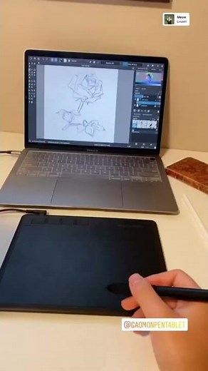 First time using a drawing tablet ✍️