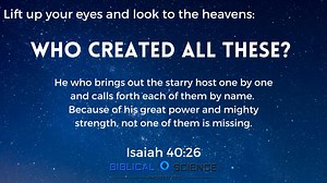 Biblical Science Institute on Reels