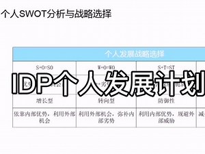个人发展计划干货分享！IDP个人发展计划工具9-9韩冬