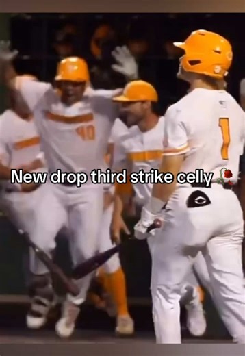 Exciting Baseball Highlights and Emotions