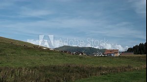 herd of cattle with cow bells at a farm in the french alps with Mont Blanc and other mountains in the back ground.