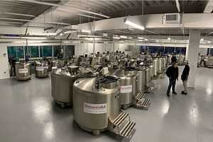 Celularity and Infectious Disease Research Institute will try out COVID-19 cell therapy