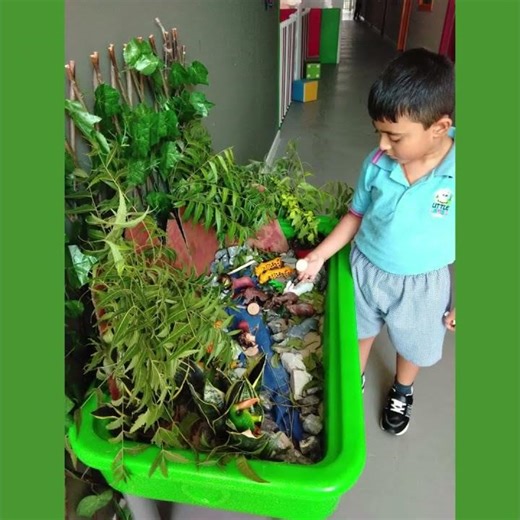 Introduction of wild animals