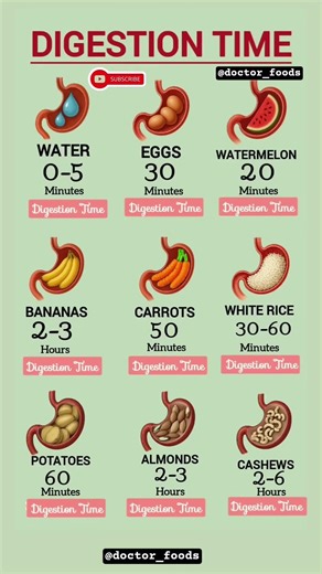 Digestion Time of Common Foods | How Long Food Takes to Digest ⏳ | Complete Guide #healthylifestyle