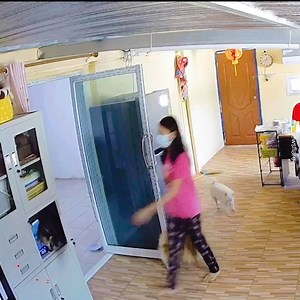 8M views · 52K reactions | The owner locks the door with the cat trapped inside.  | Who Cares? | Facebook