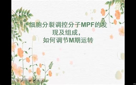 细胞分裂调控分子MPF的发现及组成，如何调节M期运转