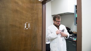 Losing your memory? A pigeon could help