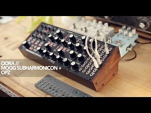 OORA // Moog Subharmonicon + OPZ