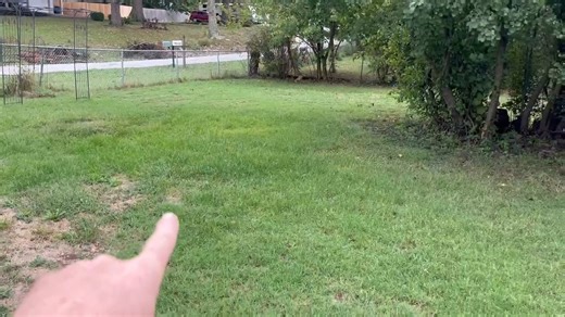 Small Signs Tell Big Stories. During an inspection, our inspector...