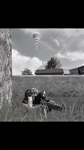 Nich Log Sale 🐍🥲