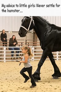 Don't settle for that hamster! -) | Horse Grapevine