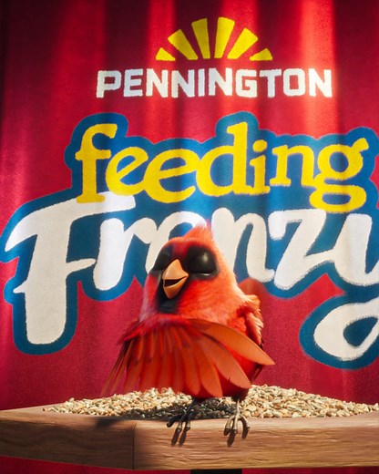 BREAKING NEWS for bird lovers! Introducing Pennington Feeding Frenzy, the NEW lineup of ultimate bird seed blends to turn your feeder into a frenzy of activity! Attract your feathered friends and keep them coming back. Only at Walmart! | Pennington Wild Bird Seed