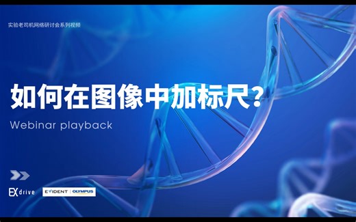 如何在图像中加标尺？