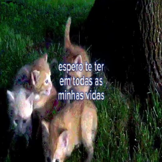 Mais que Amigos: A Profundidade da Amizade