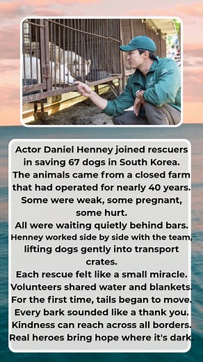 13K views · 588 reactions | Watermelon Sugar on Reels | Facebook