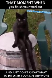 Consequences of being Addicted to the GYM... | Addicted to the GYM