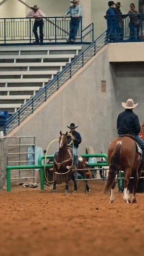 4K views · 1K reactions | Nicki and Whitt were on fire at the @americanropehorse Finals! ‍ She added around 20k to her LTE! Catch them again at the Gold Buckle Futurity next week! We can’t wait to see what the future holds for this mare! : @devin.walston | 3 String Cattle Co. | Facebook