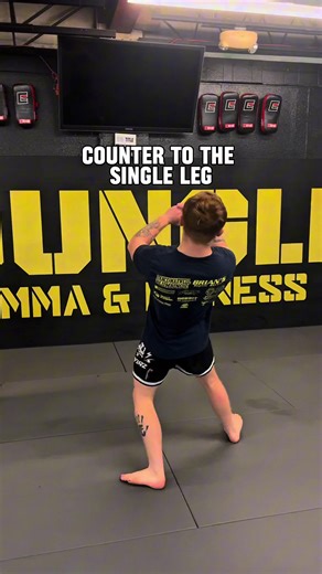 Merab's Expert Takedown Defense Techniques