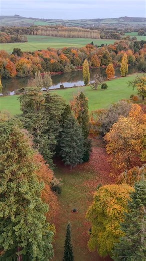 87 reactions · 6 comments | National Tree Week Looking back at the...