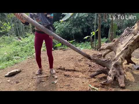 Girl Turns a 100-Year-Old Tree Stump into an Incredible Table