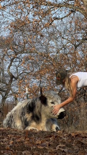 briana armbruster on Instagram: "christmas eve breakfast service"