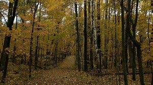 4.2K views · 119 reactions | The fall color was beautiful this weekend! Did you make it out to a Minnesota State Park this weekend? mndnr.gov/fallcolor | Minnesota State Parks and Trails | Facebook