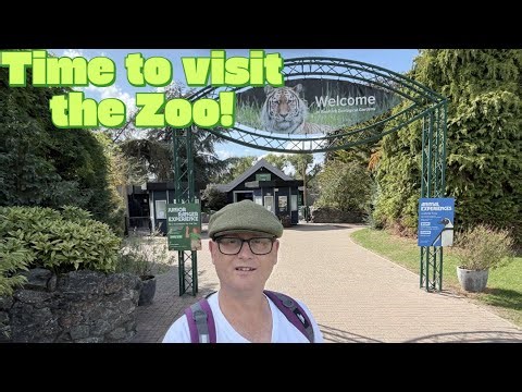 Wild Encounters at Banham Zoo | Norfolk’s Ultimate Animal Adventure!
