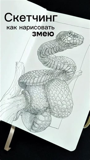 How to draw a snake? 140 free sketching and calligraphy lessons at the link in my profile #art