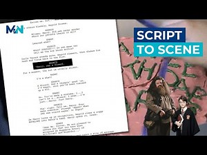 Script to Screen | Yer a wizard, Harry | Sorcerer's Stone