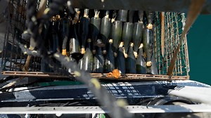 Wine Underwater: Mazza retrieves wine aging at the bottom of Lake Erie