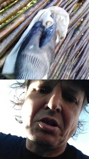 How 2 treat ur willow #fence Ep.4. Methods & materials #garden #fairlifegardenhome #diy #carpentry