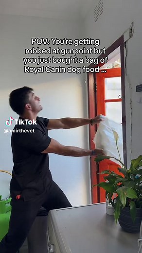 Why Dog Food Prices Are So High: A Cost Breakdown