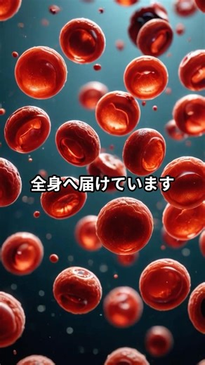 【42km物語】3-4「赤血球の旅」