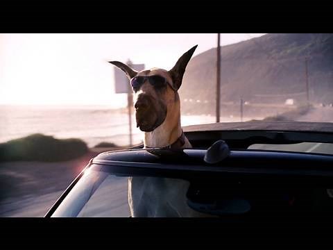 Marmaduke | Teaser Trailer (HD) | 20th Century FOX