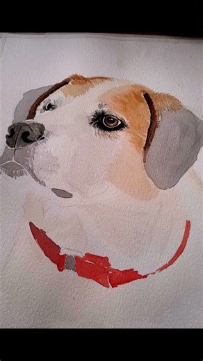 Painting a Beloved Dog’s Memorial Portrait | From 4 Photos to Finished Watercolor