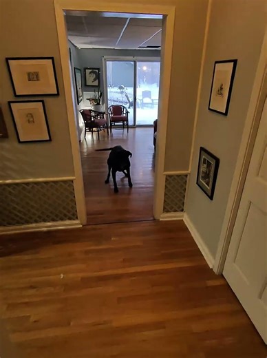 Bart is it time for breakfast?