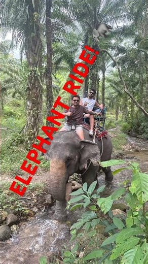 First Time Riding an Elephant in Thailand! 🐘🇹🇭