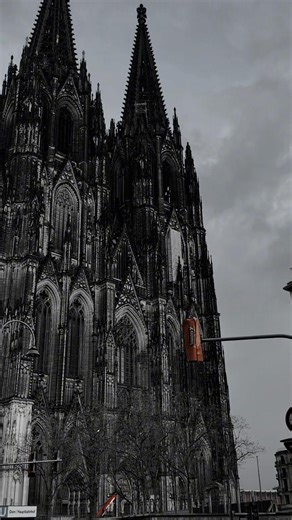 Koln dom😱 #travel #love #lifeisbutadream #pakistan #ihavethisthingwithplants