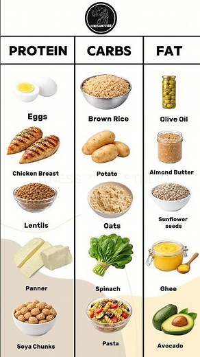 Protein vs Carbs vs Fat 🍗🍚🥑 | Build the Perfect Fitness Plate
