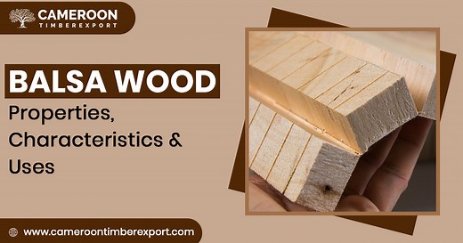Balsa Wood: Properties, Characteristics & Uses