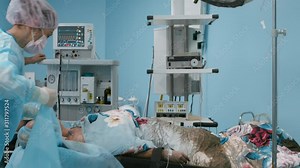 Female patient lying under anesthesia tied on surgical table, surgeon and the assistant prepare the patient and arrange for sterility in the operating room